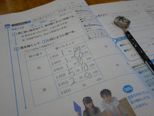 P1010009